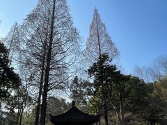 -杭州植物园