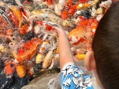 -龙达温泉生态城
