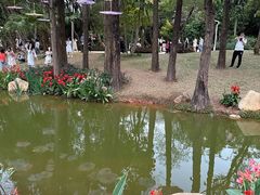 -人民公园(罗湖区)