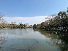 -西湖游船