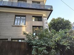 -溪岸路花鸟市场