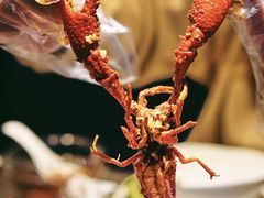 -虾胡闹·澳洲小龙虾·烧烤(福田鲨鱼店)