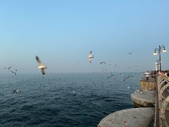 -东港音乐喷泉广场