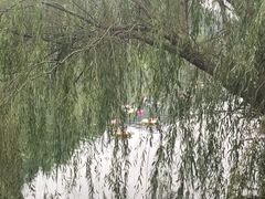 -常德桃花源景区