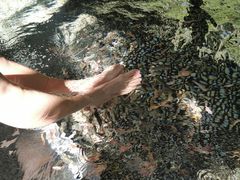 -厦门日月谷温泉渡假村