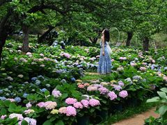 -名花谷生态庄园