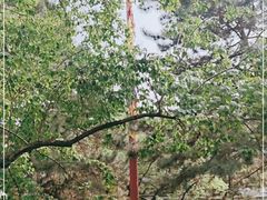 -普陀宗乘之庙(小布达拉宫)