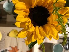 -鱼桥巷·美学川菜