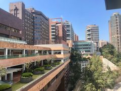 -香港大学
