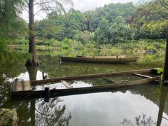 -深圳仙湖植物园
