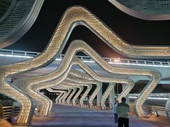 -演武大桥观景平台