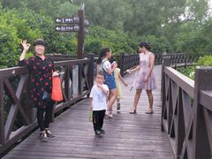 -大亚湾红树林城市湿地公园