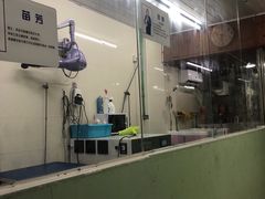-守诺宠物医院·眼科· 特色牙科·异宠专科(虹口店)