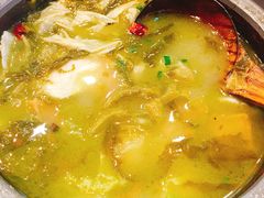 -周鱼小馆石锅酸菜鱼(活力汇店)