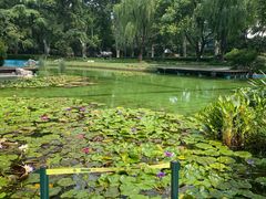 -静安公园(静安寺街道)