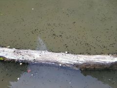 android_upload_pic-玉华宫景区