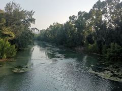 -五缘湾湿地公园