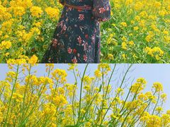 -西海岸生态观光园