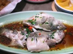 葱油鲈鱼-新白鹿餐厅(嘉兴八佰伴华府店)