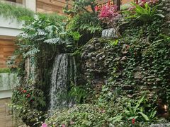 -白天鹅宾馆-宏图府餐厅