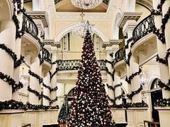 -LONG BAR 廊吧(外滩华尔道夫酒店)