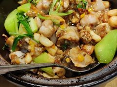 啫啫牛蛙煲-汤城小厨•粤菜•靓汤(西直门凯德MALL店)