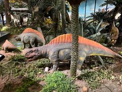 -湖南省地质博物馆