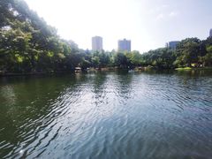 -晓港公园