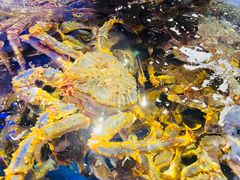 -蟹之国·精品蟹料理(极地店)