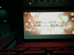 -华美国际影城(旧宫永辉店)