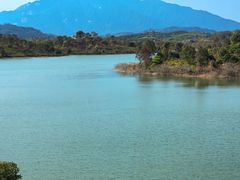 -罗浮山嘉宝田森林温泉度假酒店