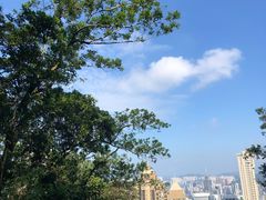 -太平山顶