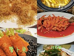 -丁老爷子苏香圆