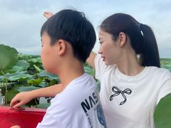 -白洋淀景区