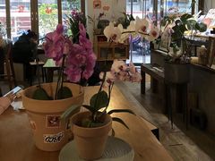-ABCD咖啡屋(妇幼店)