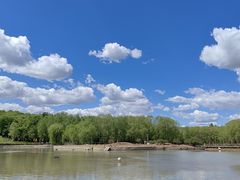 -哈尔滨北方森林动物园