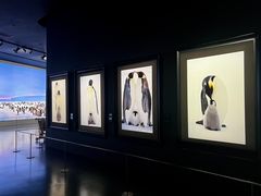 -罗红摄影艺术馆