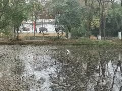 -花溪公园
