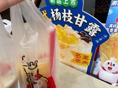 -蜜雪冰城(托乐嘉店)