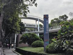 -仙岳公园