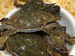 -春华海鲜城(广场西苑店)