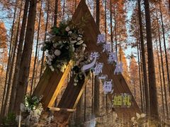 -黄海国家森林公园