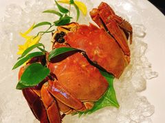 桂花枸杞醉六月黄-蟹榭·本帮江浙菜·蟹宴(五角场合生汇商场店)