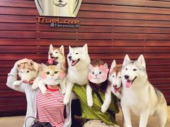 -TrueLove @ Neverland (Husky Cafe)