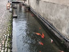 -前童古镇