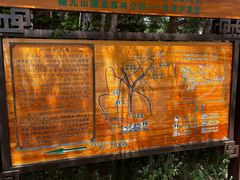 -帽儿山国家森林公园