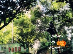 -复旦大学附属华山医院(总院)