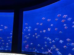 -沈阳海洋探索中心