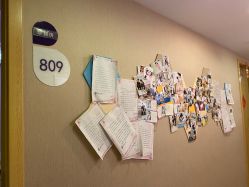 -海豚湾高端月子会所(黄浦店)