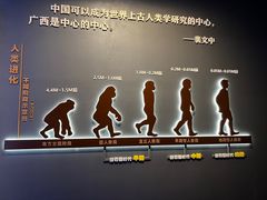 -广西壮族自治区博物馆